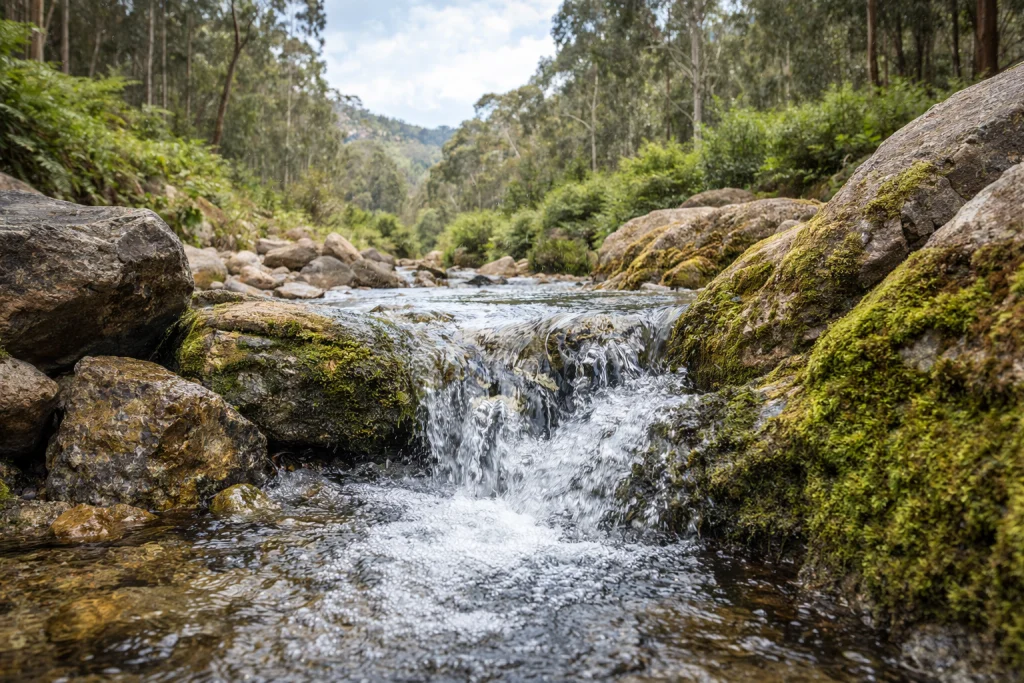 Australian spring water is naturally filtered through mineral-rich landscapes, creating a clean and balanced taste.